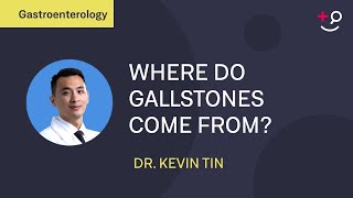 Where do gallstones come from An explanation of the possible causes [upl. by Benenson]