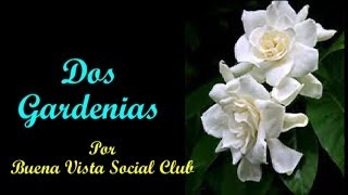 Dos Gardenias Two Gardenias  Buena Vista Social Club Subt en español amp English [upl. by Riatsala]