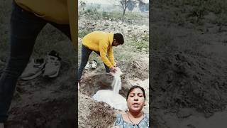 😱प्लीज़ ड्राइव स्लो😱😭🙏humanity respect dog helping sad trending youtubeshorts 😭🙏 [upl. by Urias]