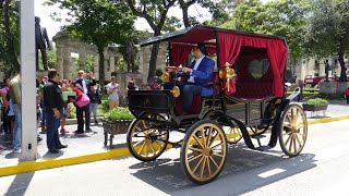 Electric quotHorselessquot Carriages The Wave of the Future Will NYC be 1st US City to Transition [upl. by Anialahs]