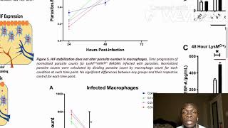 Increased HIF Expression in Macrophages Does Not Influence Leishmania major Parasite Burden [upl. by Akeim551]