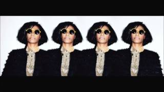 Santigold  Disparate Youth The 2 Bears Remix [upl. by Epuladaugairam]