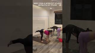 📣Loa Loa📣 quan11 seedstudio cobangiammo yoga [upl. by Lindberg]