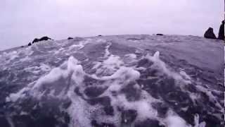 Rough Water Freediving for Abalone in Brookings Or [upl. by Georgetta]