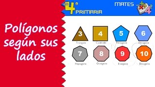 Matemáticas 4º Primaria Tema 5 Clasificación de polígonos según sus lados [upl. by Crescantia]