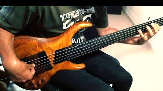 CELTIC FRETLESS BASS quotBràighe Loch Iallquot by Jesús Rico [upl. by Nirual]