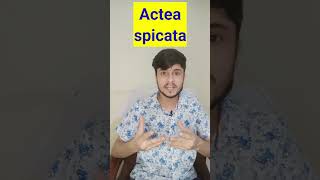 Actea Spicata Homeopathic Medicine shorts youtubeshorts [upl. by Roda]