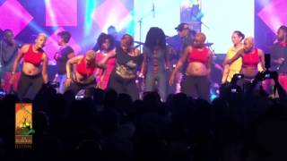 Koffi Olomide performs Micko Live at The Koroga Festival [upl. by Salchunas]