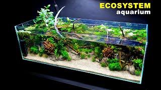 HOW TO ECOSYSTEM AQUARIUM NO WATER CHANGES  Full Step By Step Tutorial  MD FISH TANKS [upl. by Apple87]