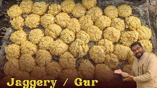 EP2 100  NATURAL Jaggery  Gur  Making  Jaggery Making Process From Sugar Cane  Village Life [upl. by Jarrett]