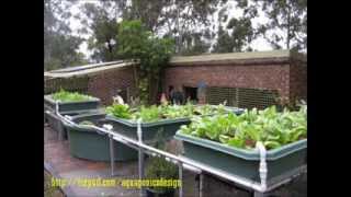 Aquaponics System Design Growing Power  Growing Powers Aquaponics System [upl. by Nylia]