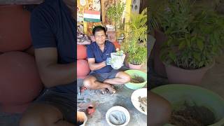 How to make small cement gamla art [upl. by Skelly]