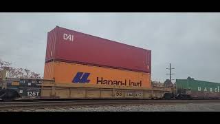 Norfolk Southern intermodal [upl. by Jerri]