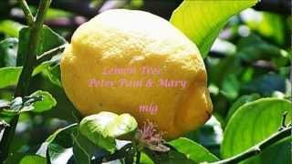 Peter Paul amp May  Lemon Tree Lyrics [upl. by Shelman]