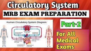 Circulatory System Part  2  MRB EXAM  All Medical Exams [upl. by Iggam966]