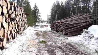 Coupe de bois dans Lanaudière [upl. by Christophe]