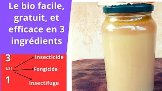 un insecticidefongicide bio facile gratuit et efficace pour vos jardins [upl. by Renato383]