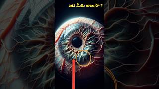 మీమల్ని ఆచారాయపరిచే కోని నిజాలు  shorts telugu vrrajafacts factsmine kranthivlogger [upl. by Ecinhoj828]