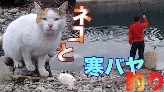 ネコと一緒に寒バヤ釣り Riverfishing Catch amp Eat amp Cat [upl. by Asssilem]