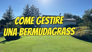 La mia bermudagrass alcuni consigli su come gestirla  cure tagli e concimazioni [upl. by Caz727]