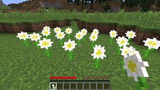 What is an Oxeye Daisy  Minecraft Flower [upl. by Windy]