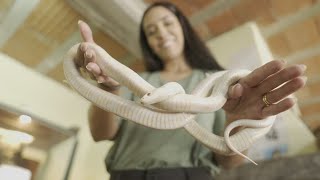 El único serpentario formal de Córdoba su objetivo es que quotla gente aprenda a no matarlasquot [upl. by Alyahc980]