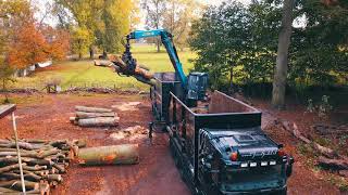 Van Ginkel Boomrooierij project wandelbos Groenendaal te Heemstede [upl. by Kilk]