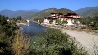 Punakha Dzong Fortress in Bhutan [upl. by Bruce]