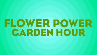 Flower Power Garden Hour 194 Aroids with Bruce Ritter [upl. by Atinra559]