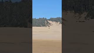 Sand Dunes Adventure Exploring Oregons Coast nature oregoncoast vacation [upl. by Unam667]