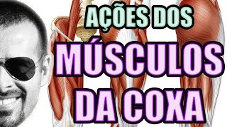 Vídeo Aula 122  Anatomia Humana  Sistema Muscular  Músculos da Coxa Quadríceps e Isquiotibiais [upl. by Noteloc]