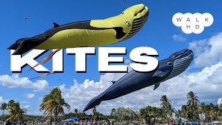 Kite Festival Miami 4K ultra HDR Walking Tour [upl. by Fausta408]