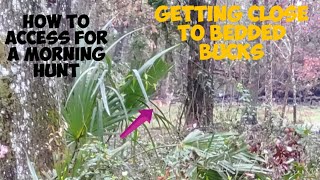 Florida Public Land Deer Hunting  Morning Access Explained [upl. by Luba]