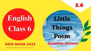 CLASS SIXENGLISHpage 15 Serial 2Little things 21  2024 [upl. by Viccora]