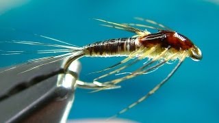 Tying a Small MayFly Nymph by Davie McPhail [upl. by Ayama74]