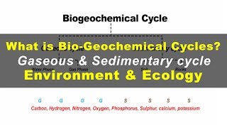 What is Biogeochemical cycles  Environment amp Ecology [upl. by Reiser52]