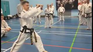 Master Jarosław Suska TaekwonDo seminar 8th9th February 2020 Tonbridge England [upl. by Eedoj440]