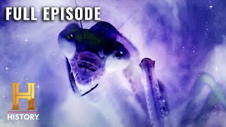 Ancient Aliens INSECT GODS OF DEEP SPACE S7 E7  Full Episode [upl. by Schoenberg105]