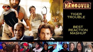 The Hangover Tiger Trouble First Time Reaction Mashup [upl. by Casi402]