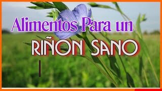 10 Super Alimentos Para Tener un Riñon Sano [upl. by Magnolia659]