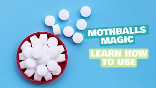 How to Use Mothballs  12 Easy Steps to Use Mothballs  Daily Needs Studio [upl. by Fini]