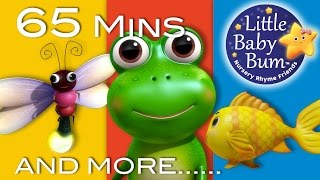 Five Little Speckled Frogs  Little Baby Bum  Nursery Rhymes for Babies  Baby Song Compilation [upl. by Debra]