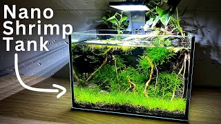 How To Make No filter Nano Shrimp Tank  Stepbystep tutorial [upl. by Trub176]