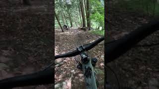 Geiler Trail und Sven legt sich hin😂 bike enduromtb mtb mountainbike mtblife viral shorts [upl. by Neelyak]