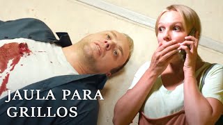 JAULA PARA GRILLOS  PELICULAS DE SUSPENSO  Películas Completas en Español Latino [upl. by Erdda371]