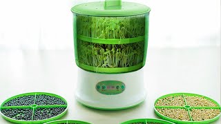 Automatic Bean Sprout Machine 2020 [upl. by Adni]