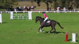 Lauren amp Zippy Zac bitless bridle 1m showjumping at SSJC [upl. by Elliot]