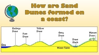 How are Sand Dunes formed on a coast  Labelled diagram and explanation [upl. by Alimac302]