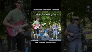 Im Into Something Good  Hermans Hermits  live cover shorts [upl. by Adnilav]