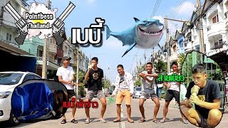 เบบี้ ชักๆๆ ชักว่าว Baby Shark  pointbess thailand [upl. by Abdella]